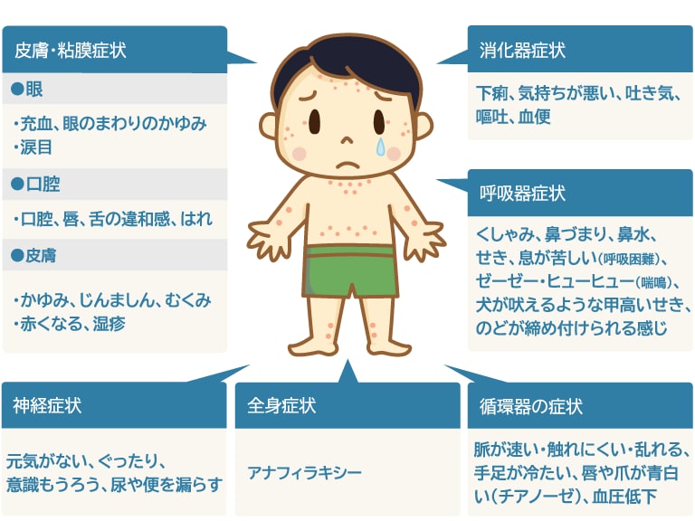 子育ての悩み、アレルギーや反抗期、受験などききます その年その年で悩みは尽きない！　相談でもなんでも聞きますよ イメージ3