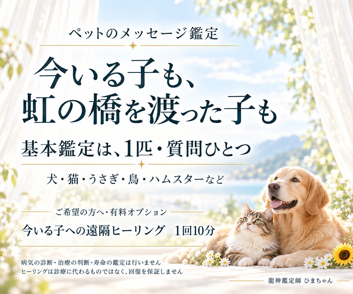 ペットの気持ちと家族への想いを文章で届けます 今いる子も旅立った子も、受け取った想いを文章でお届けします イメージ4