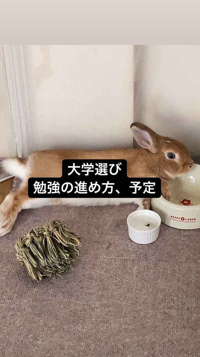 受験勉強or大学選びの相談乗ります 塾講師４年目、大学選びの参考や、勉強の進め方などどうぞ！ イメージ1