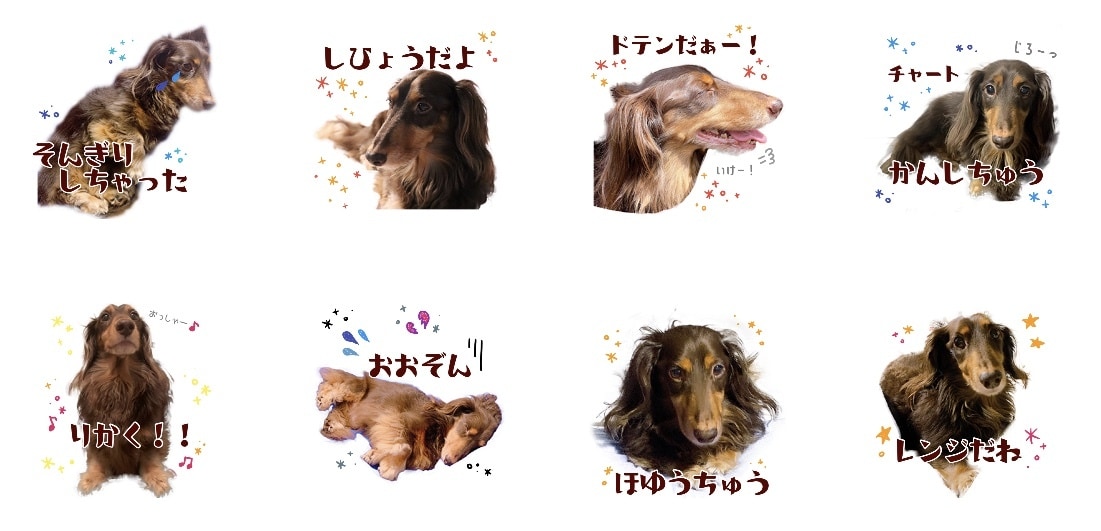 お子さまやペットの写真でLINEスタンプを作ります 世界にひとつだけの、うちの子自慢スタンプを使いましょう♡ イメージ3