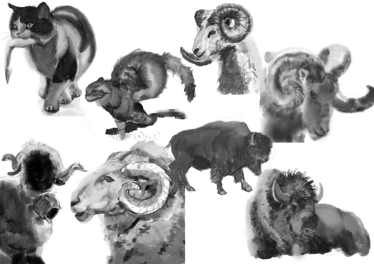動物・植物・食べ物等のあたたかいイラストを描きます 食べ物やかわいい動物などをアナログタッチで描きます イメージ2