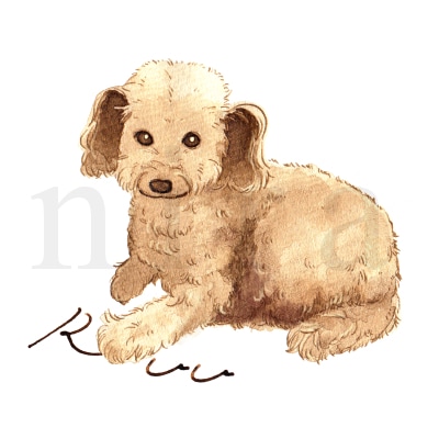ペット似顔絵◆うちのこイラストお描きします おなまえ付き★インク１色でおしゃれにカッコかわいく イメージ2