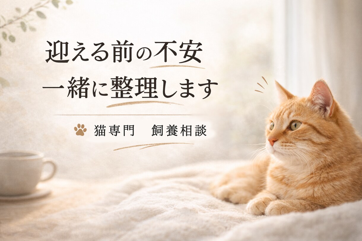 猫 専門 ペットを迎える前の相談承ります 終生飼養の視点で、犬猫飼養アドバイザーが一緒に整理します イメージ1