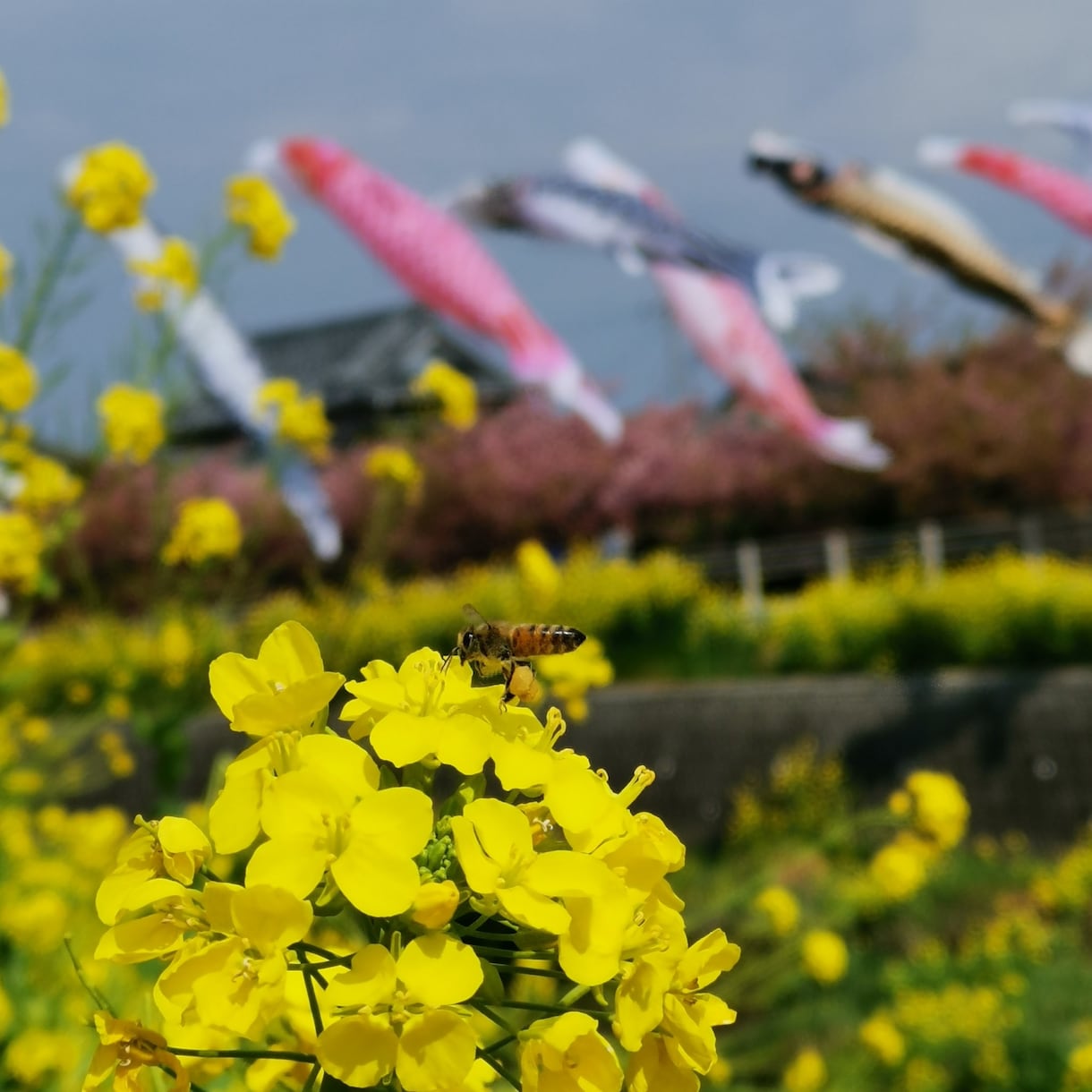 どんなお悩み愚痴も丁寧にききまます 自分は鬱を経験した時誰にもいえなかったから、吐き出すお手伝い イメージ1