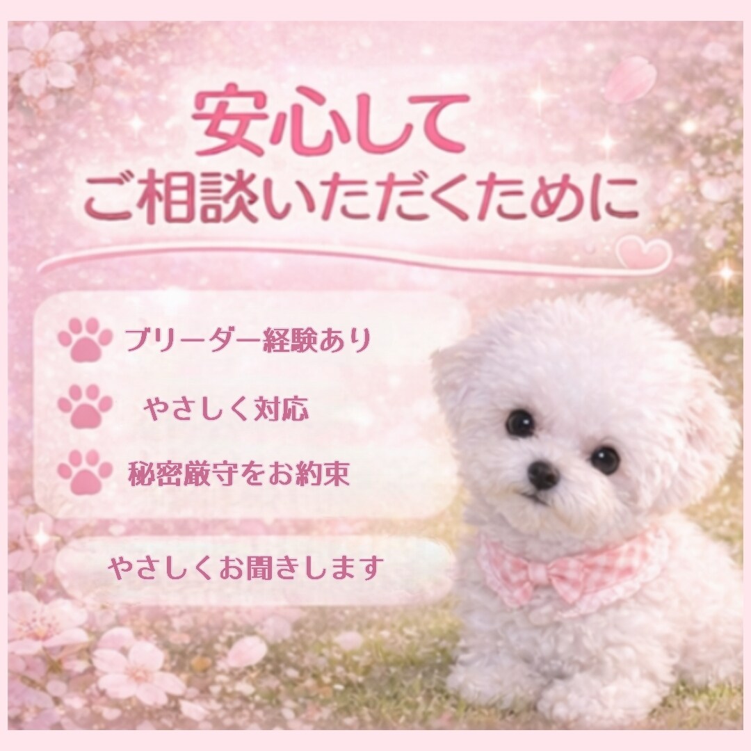 子犬の悩み相談のります 子犬の飼い方・しつけ相談、なんでもOK イメージ4