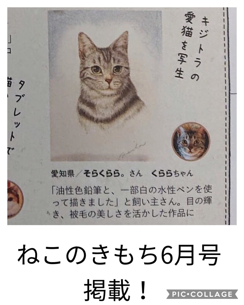 大切なペットをリアルで優しい絵画にいたします 動物を愛する作者が毛の一本一本まで愛情たっぷりに仕上げます。 イメージ9