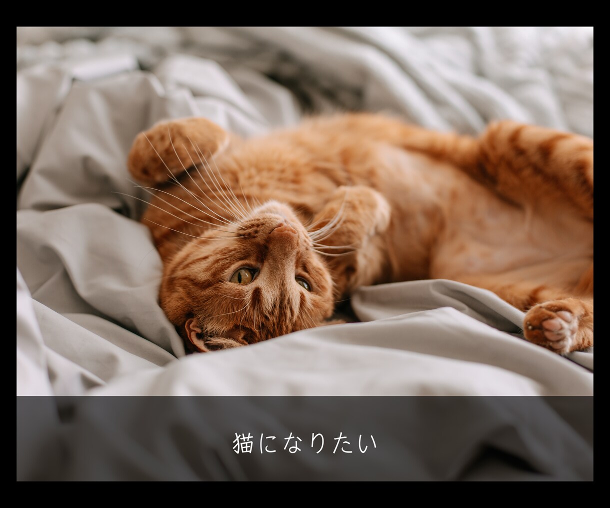 恋愛以外♦️サムネに顔出し動画あります ネガティブでもいいよ♦️あなたを軽くする♦️スピリチュアル イメージ7