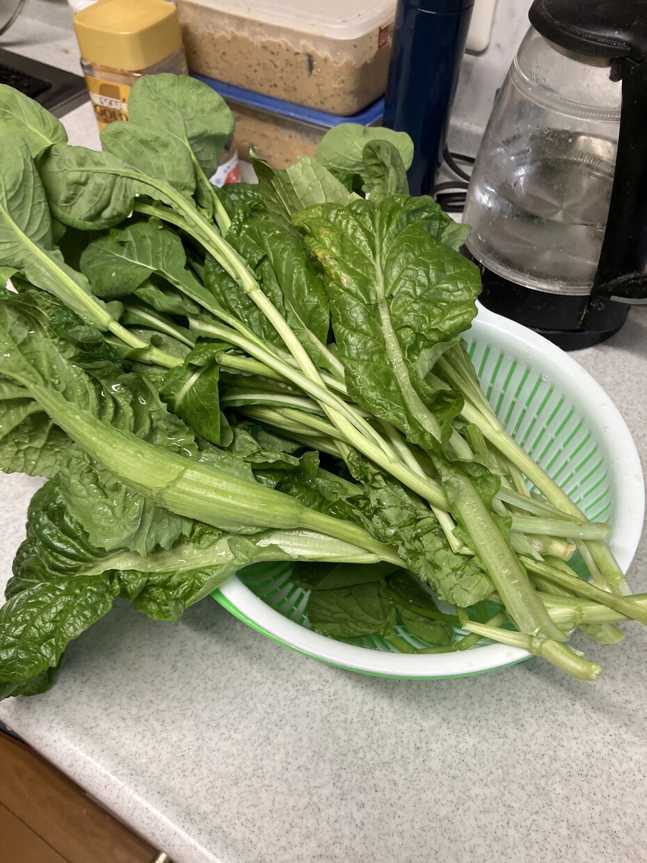 体にやさしい食事の悩み相談乗ります 節約しながら健康食の相談乗ります イメージ1