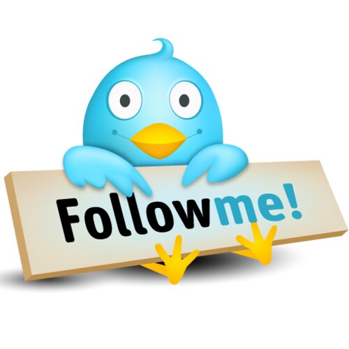 Twitterのフォロワーを増やしたい方！４か月でフォロワー6000人増やした方法を教えます♪★ イメージ1