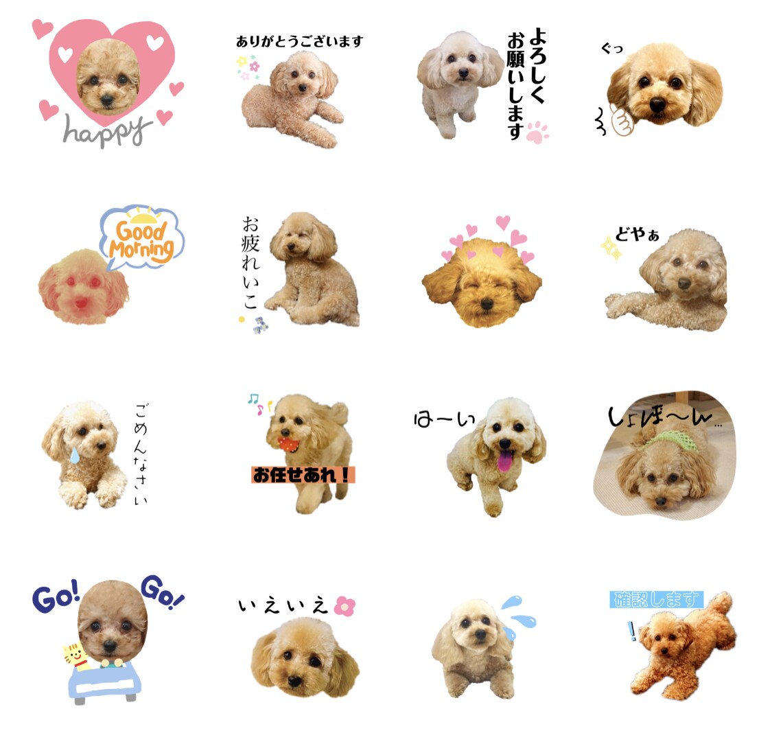 家族の一員(ペット)写真でLINEスタンプ作ります 使うたびに癒される…！大事な家族の写真をLINEスタンプに。 イメージ4