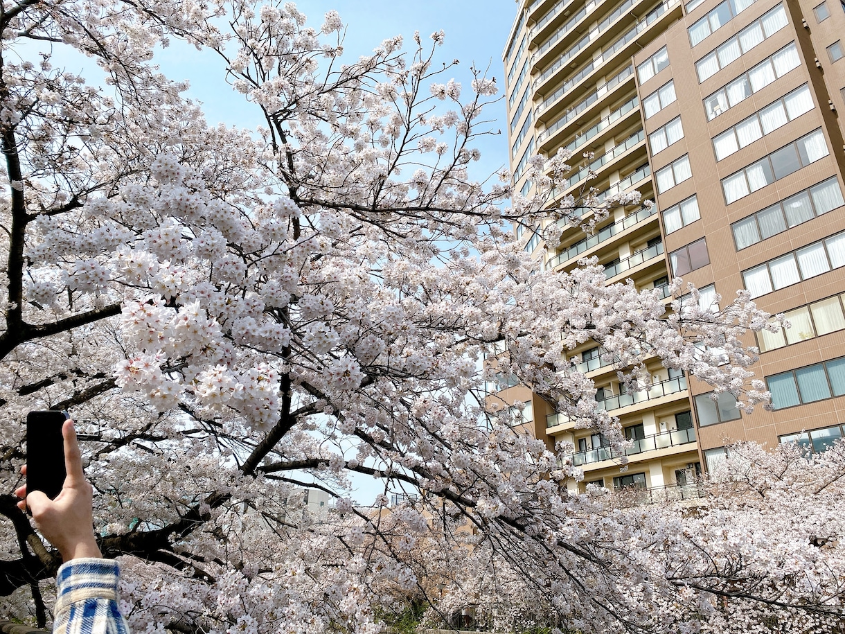恋人との悩み、どんな内容でもお聞きします 今感じているあなたの不安感やお気持ちに寄り添います イメージ1