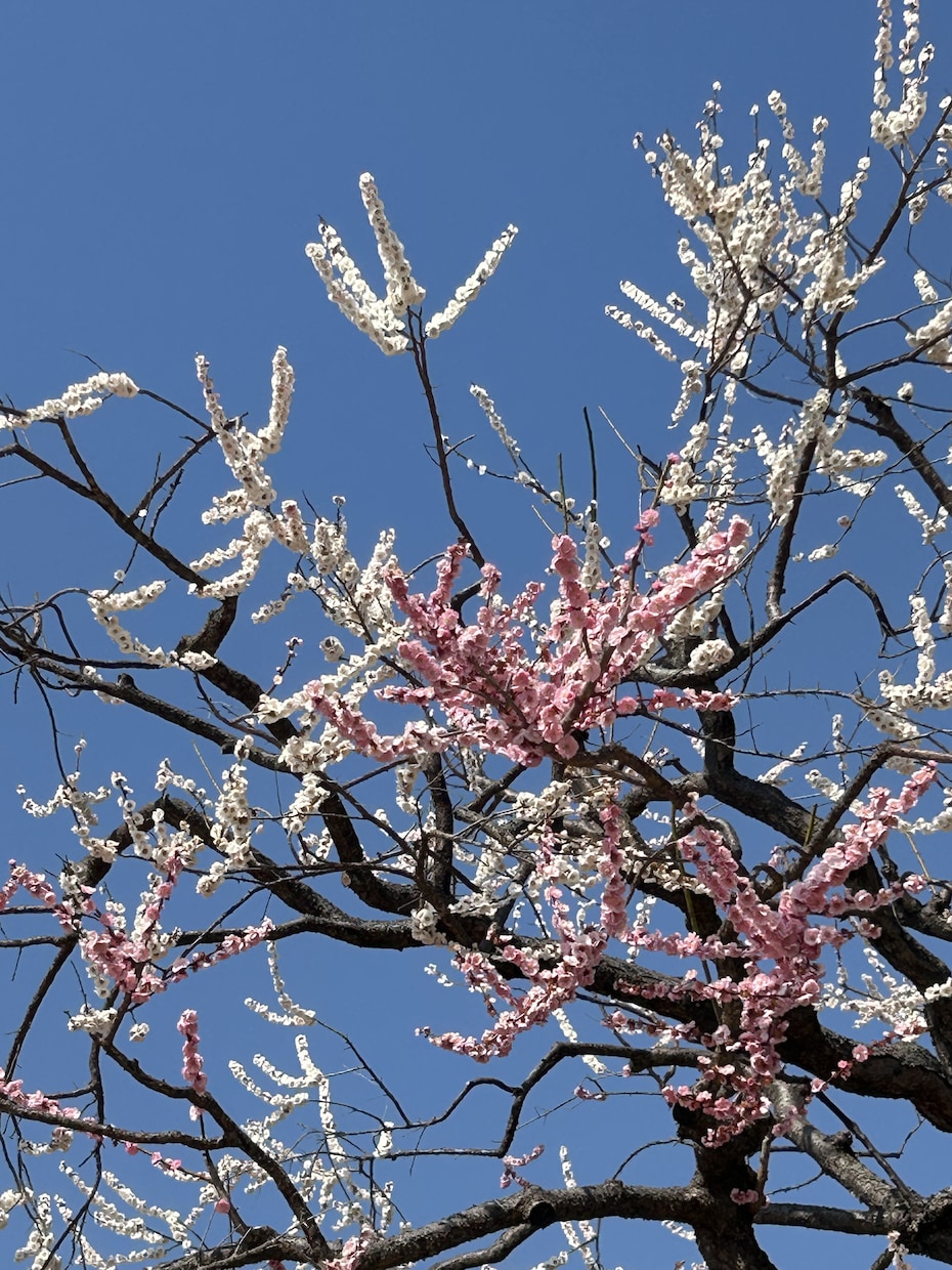 家族関係のお悩み、お話伺います 毒親、家族関係に苦しみ乗り越えた経験を生かし、お話伺います。 イメージ4