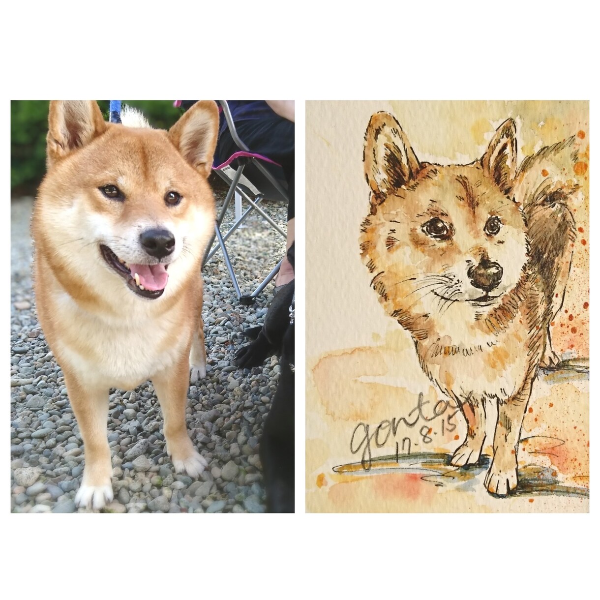 優しいオシャレな印象のペットのイラスト描きます 世界に一つのペットイラストを！優しいオシャレな水彩画で イメージ4