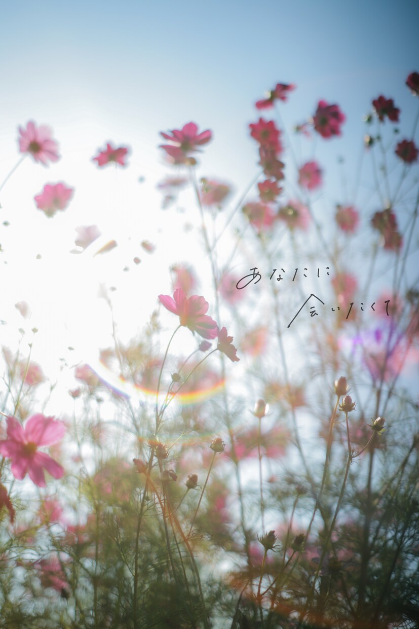 心が動くあったかい文字を、手書きします 写真に文字を添えて、魅力を最大限に引き出します イメージ3