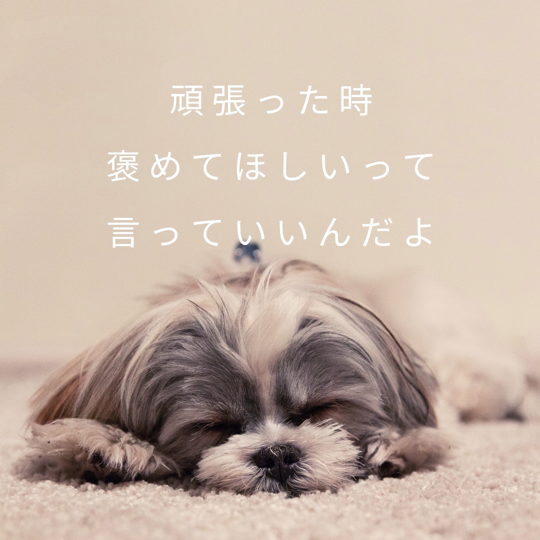 女性限定♡2時間即レスであなたの側にずっといます 1日1名限定♡ユウキをひとり占めしたいあなた専用のサービス イメージ6