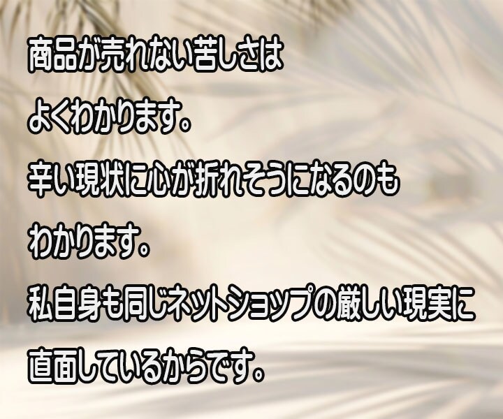 ネット通販運営でくじけそうな心を励まします ネットショップ｜運営｜不調｜辛い｜辞めたい｜頑張りたい｜応援 イメージ3