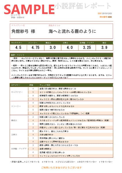 創作小説のチェックシート評価うけたまわります 具体的な評価が知りたい方に、プロ作家の目から見てご回答します イメージ1