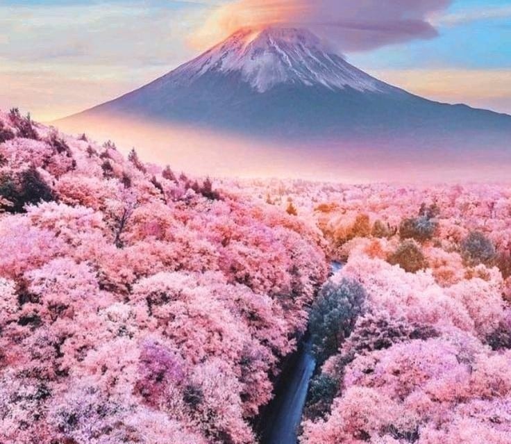 お気軽に✿やりたい仕事や夢について❗占いを致します ✿霊感タロットで仕事の流れやお金の流れ気持ちについて占います イメージ1