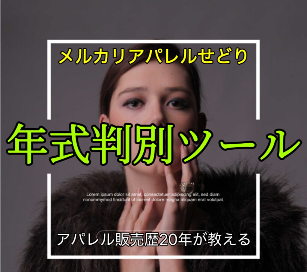 レディースアパレルせどり/年式判別方法教えます アパレル販売歴20年が作ったメルカリせどり年式判別ツール イメージ1