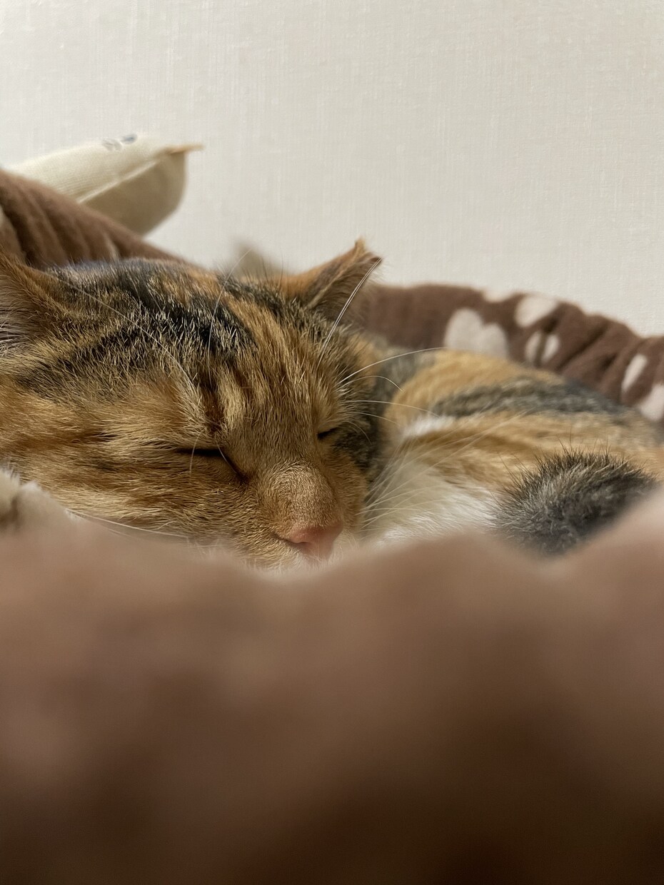 お話聞きます 高校1年生です！暇なのでよかったらお話したいです！ イメージ1
