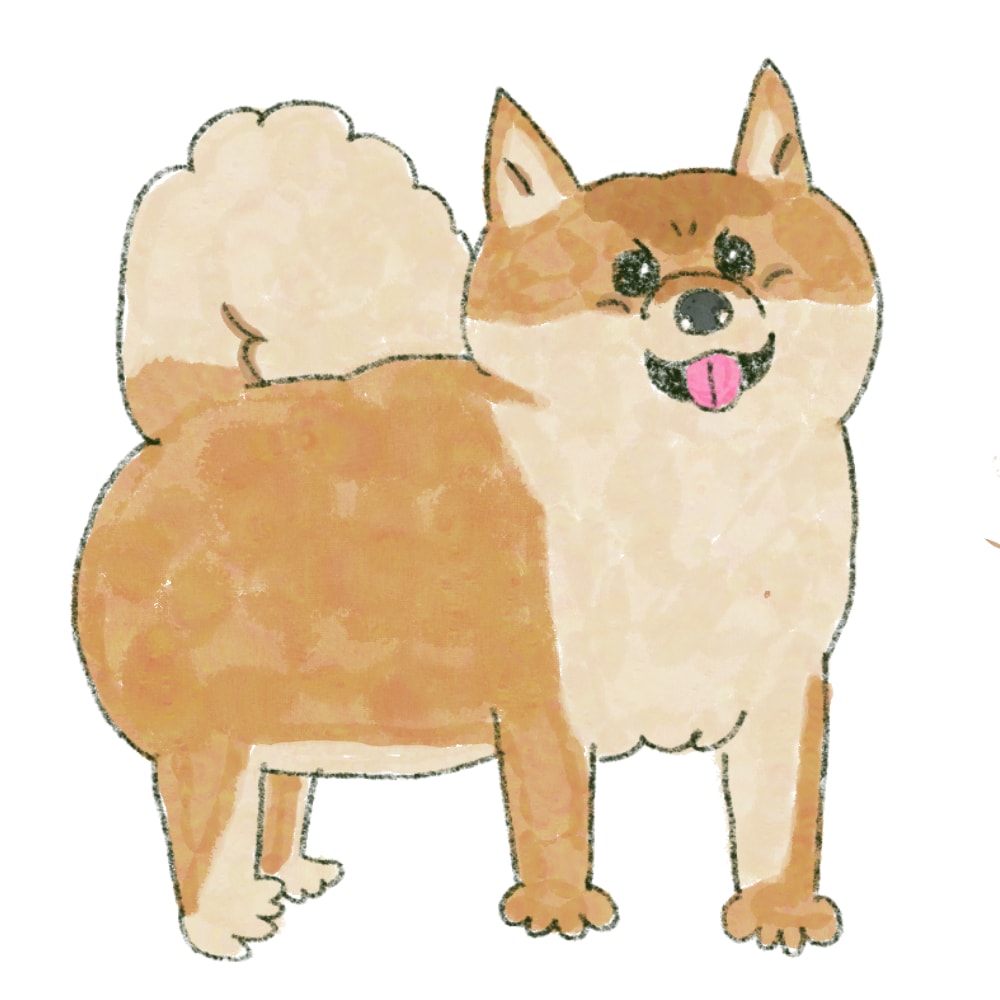 ゆるくてかわいいペット/動物のイラスト描きます ペットやお好きな動物を描きます。人物画もご相談ください イメージ4
