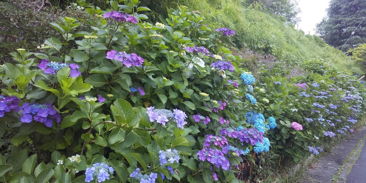漠然とした不安、心のもやもやを聞きます 日々の生活に影を落とす負の感情を吐き出してすっきりしましょう イメージ1