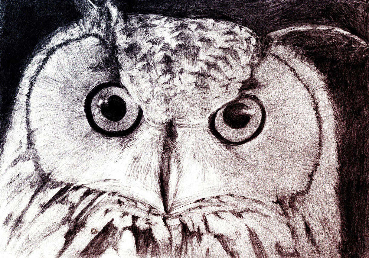 温かみのある鉛筆画でペットさんの絵をお届けします いろいろな動物描けます！記念やプレゼント用に イメージ4
