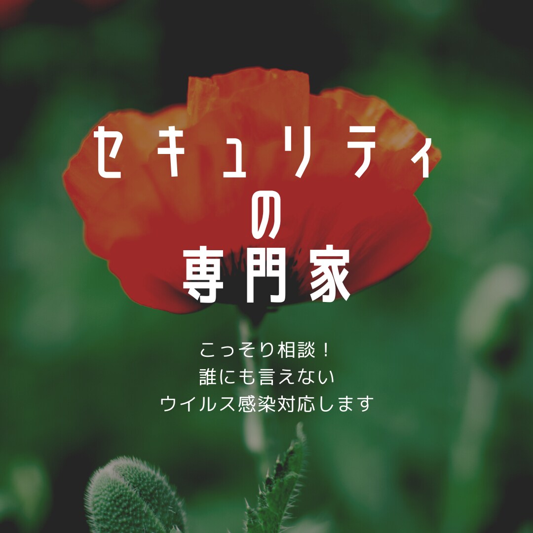 パソコンのセキュリティの質問に答えます ちょっと詳しい人に聞けばわかるそんな質問にお答え！ イメージ1