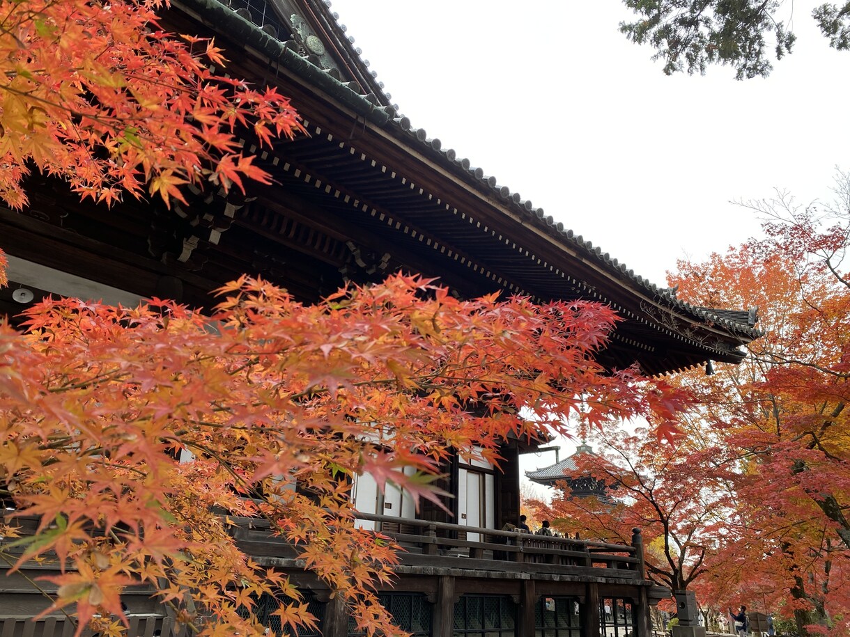 京都旅行のプランを考えます 京都旅行のオリジナルプランを考えます！ イメージ2