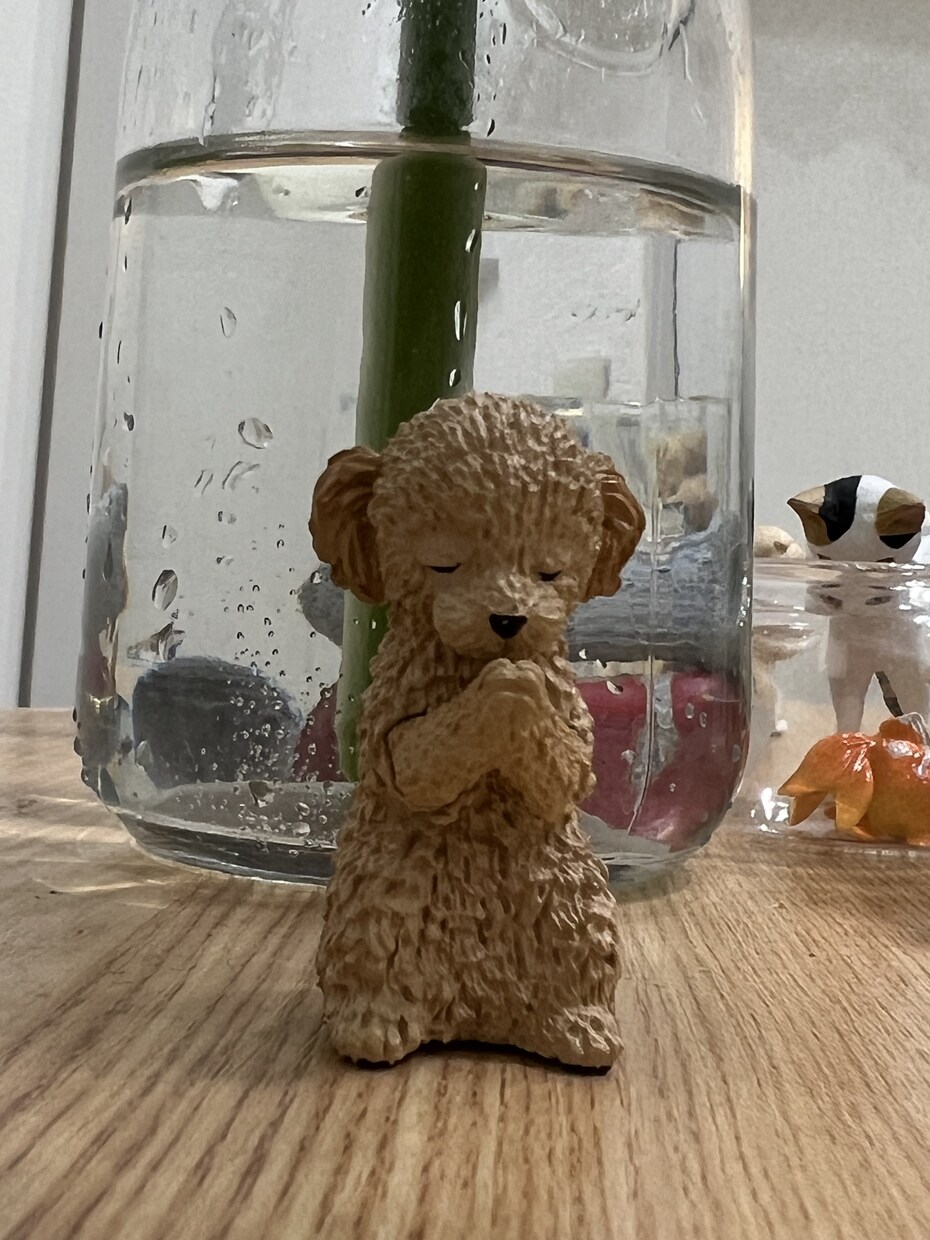 どんな小さなお悩みや愚痴お聞きします 心のもやもや話してスッキリしませんか？ イメージ1