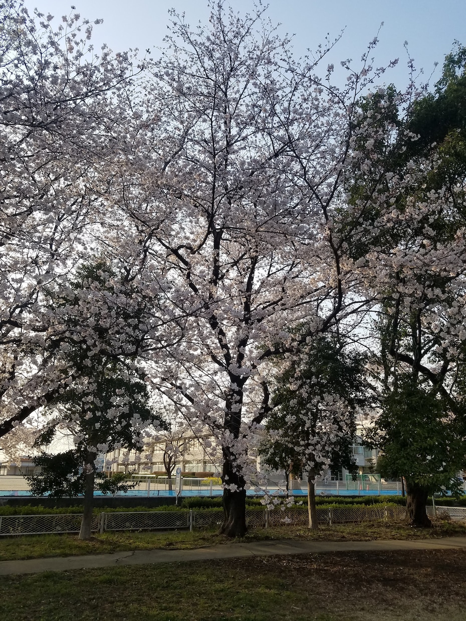 あなたのお話を聞きます こんな事話しても良いのかな、でも聞いて欲しい。 イメージ1