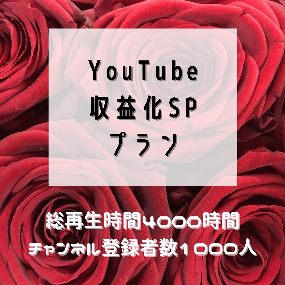 YouTube収益化突破の条件達成します ココナラ初出品につき限定3名様までの価格です！ イメージ1