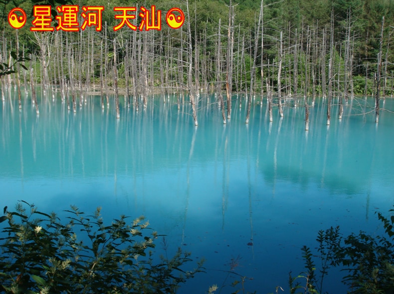 現在の状況から、あなたの未来将来を透視し占います ☯未来を知りたい☯希望の未来にしたい☯あなたへ易占通話鑑定 イメージ9