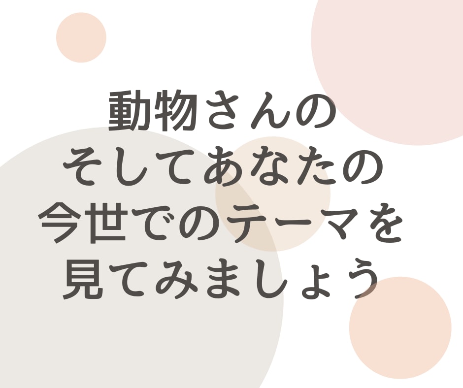 今日からできる過去世リーディングスキル教えます 自分とペットの魂レベルの深い繋がり、今世での目的と役割を知る イメージ5