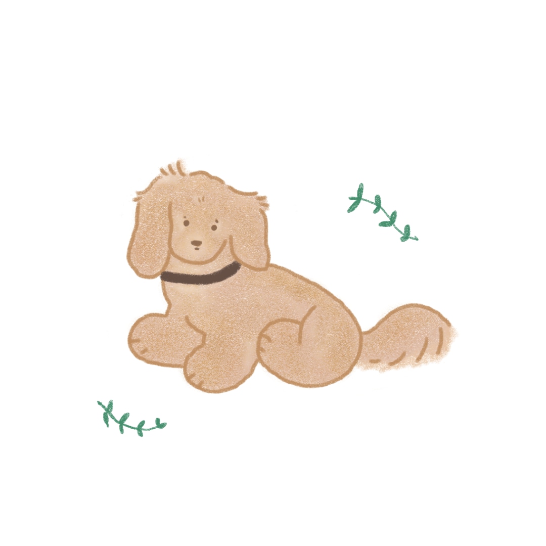 やさしいタッチで、ペットのイラストを描きます やさしく、かわいい、ほっこりなペットのイラストを描きます＊ イメージ5