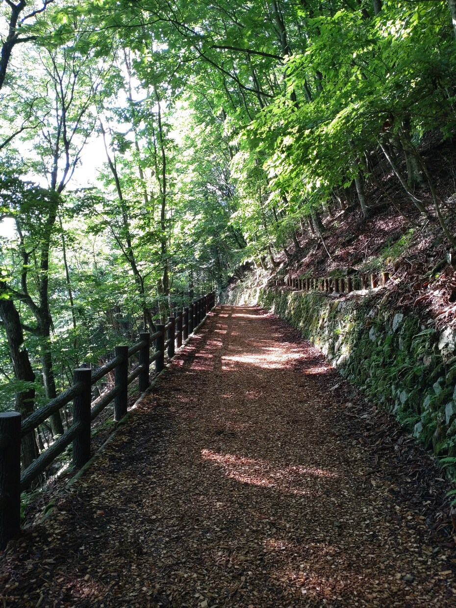 おはなしを聴いて、あなたの素晴らしさを伝えます ナチュラルなコミュニケーションで、爽やかに癒やします！ イメージ9