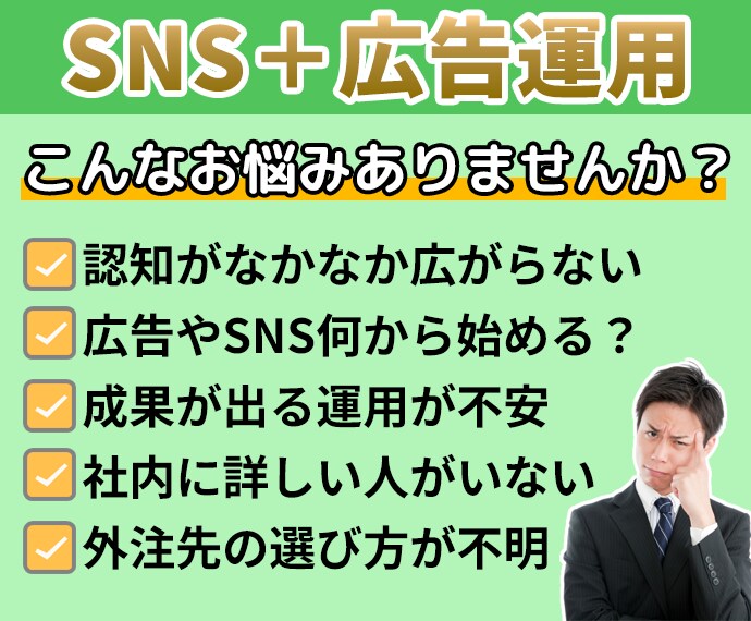 現役マーケターがSNS＋広告運用で集客拡大します SNS運用で賄えないターゲットを広告併用で全方位カバー！！ イメージ2