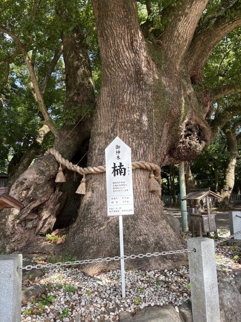 徳島県 大麻比古神社 代理参拝致します 心を込めて開運祈願致します。全体運アップを祈る現地ご祈願 イメージ4
