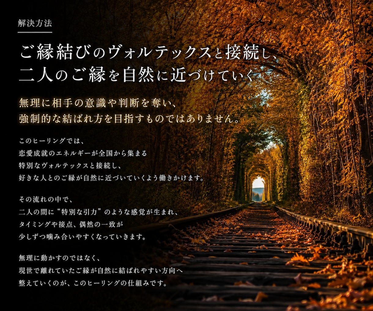 あなたと好きな人が自然と近付く「ご縁結び」をします 縁結び・恋愛成就の【特別な引力】が渦巻く”ヴォルテックス”。 イメージ4