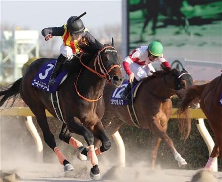 競馬予想。初心者向け。買い目の出し方教えます お小遣いの範囲内で投資をしたい方 イメージ1