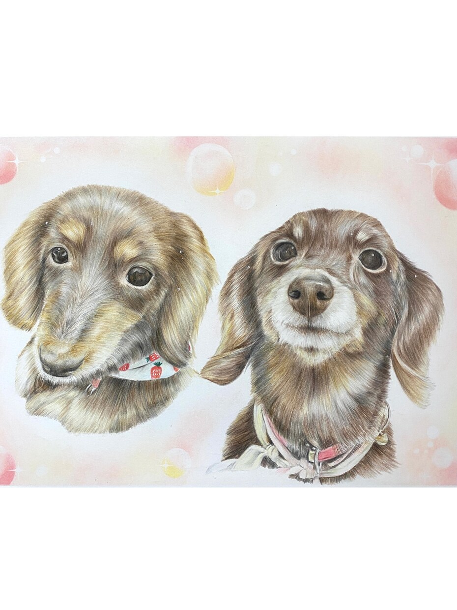 色鉛筆似顔絵肖像画描きます 世界に１つだけの愛犬、愛猫の似顔絵を原画でお渡します。 イメージ1