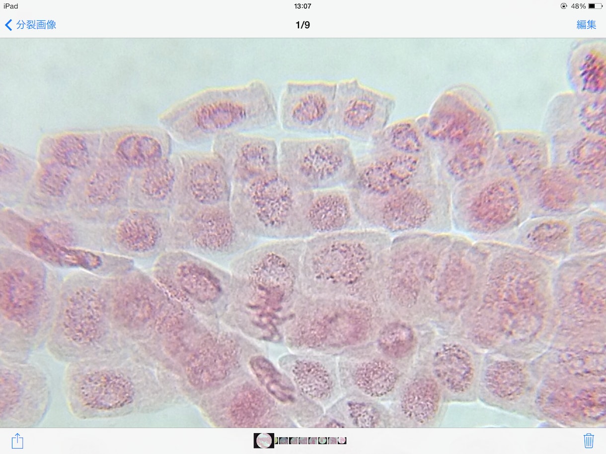 中学校理科　（生物・地学・化学）分野をわかりやすく伝えます☆ イメージ3