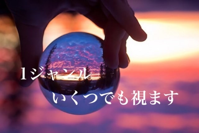 1ジャンルだったらいくつでも！視ます じっくりと丁寧に鑑定希望の方向けです。鑑定後の質問も1回 イメージ1