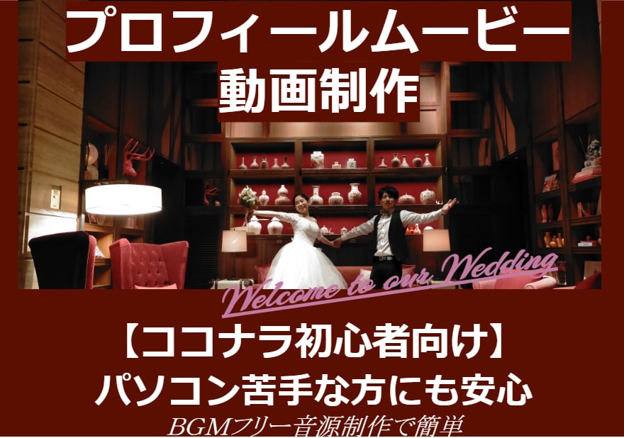 DVD納品付◆プロフィールムービー制作します ネットが苦手な方にも丁寧にご案内（フリーBGMで制作） イメージ1