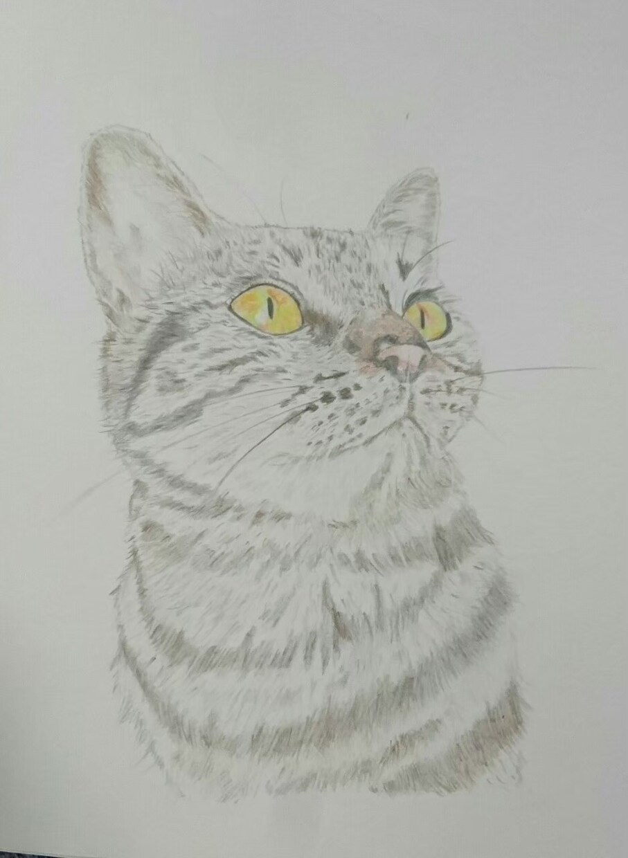 ペット肖像画を描きます ペットが愛しくてたまらない方へ。最低価格で最高の思い出を♩ イメージ5