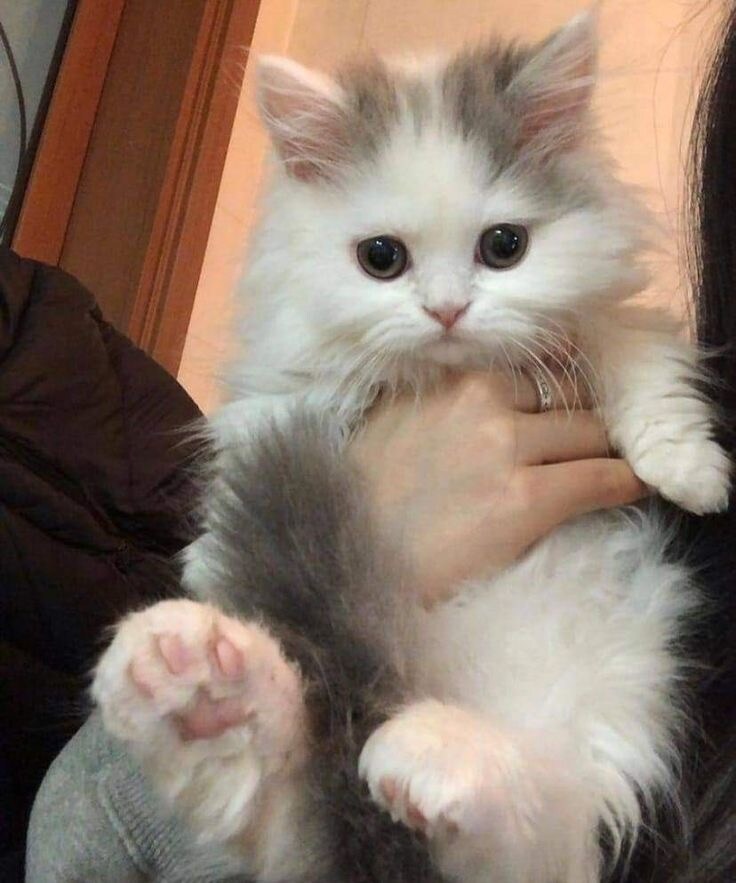 あなたの話し相手になります 生活している中での不満や、愚痴聞きます✨ イメージ1