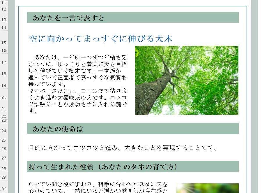 エクセルの占いツールをカスタマイズして提供します 流派や鑑定スタイルに合わせて命式/鑑定書をカスタマイズします イメージ9