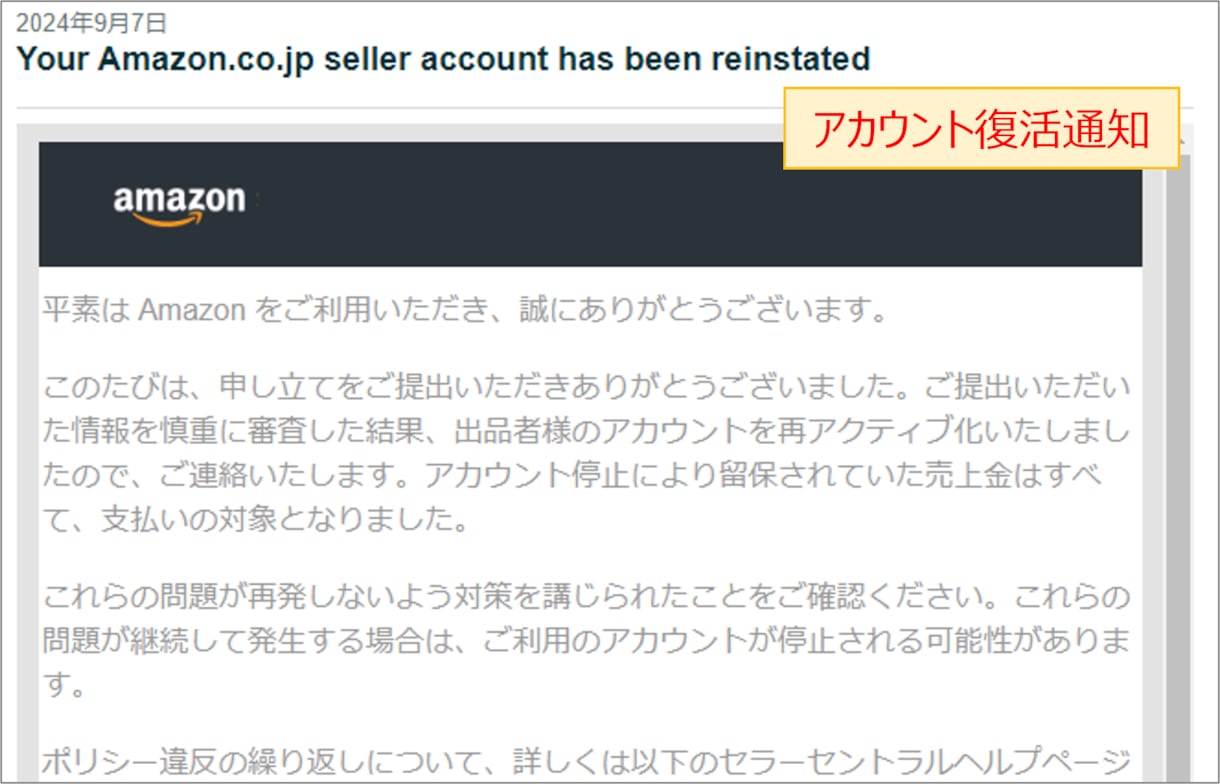 Amazon 審査通過した改善計画書を販売します 10回以上の再提出を経て2024年9月頭に審査通過した現物 イメージ5