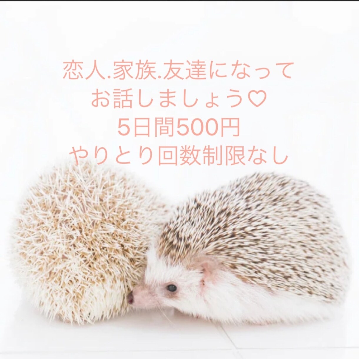 ワンコイン♡5日間お話聞きます 家族、友人、恋人のように(*´꒳`*)ご要望お聞きします！ イメージ1