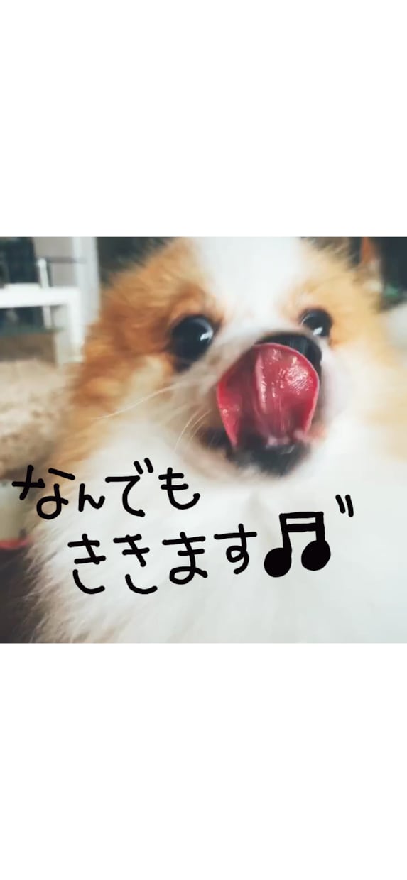 なんでも聞きます 5分でも10分でも1時間でもどんなことでも♬ イメージ1